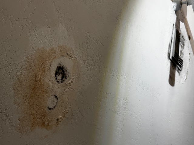 Mold Damage